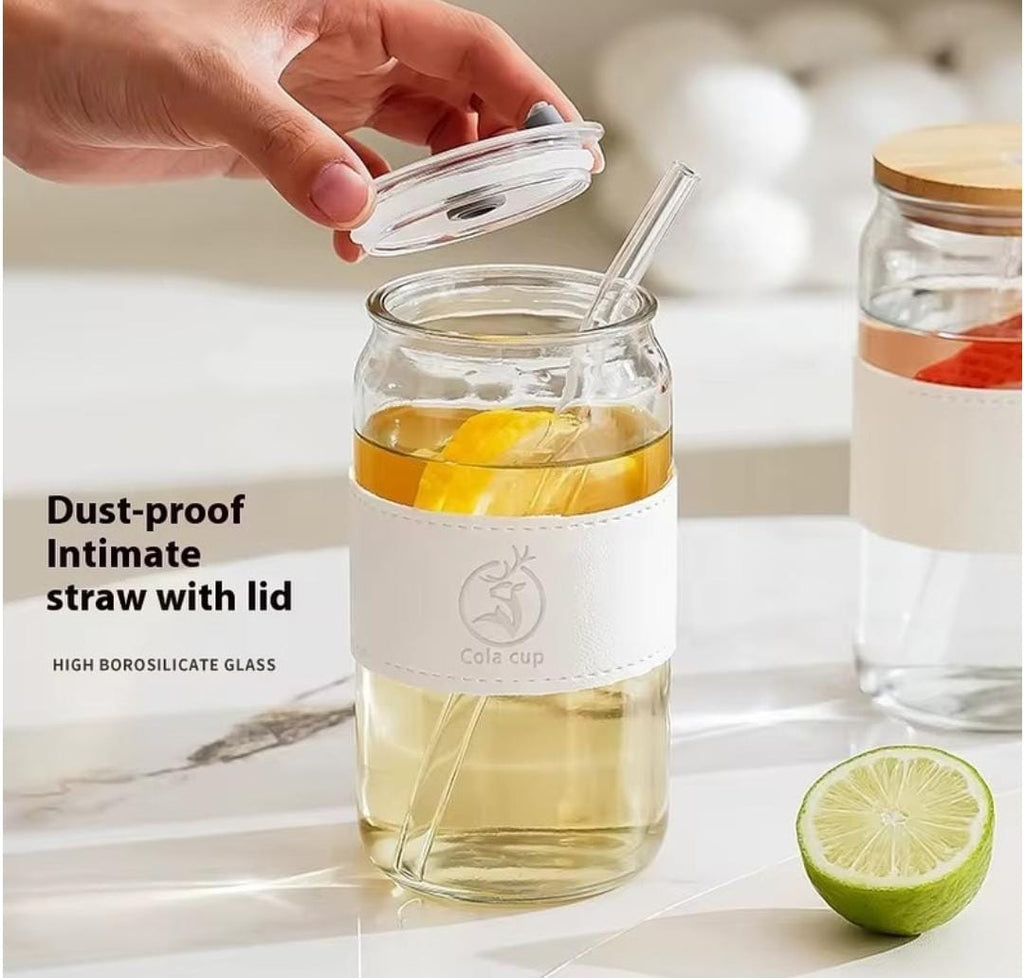 Premium Glass Tumbler with Bamboo Lid & Glass Straw | Reusable Iced Coffee, Tea & Juice Cup (450ml)
